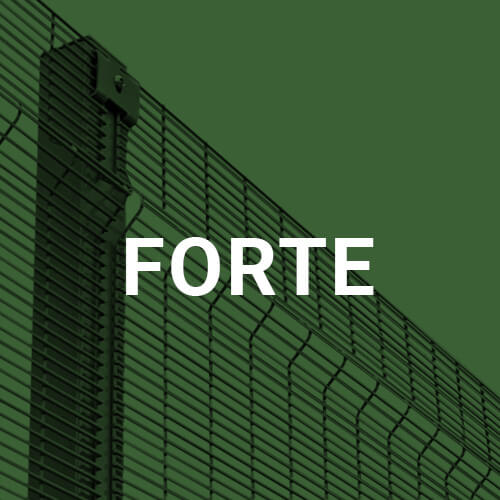 Design Master Forte
