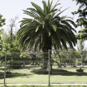 Perimeter Grey Plaza Centrica 03